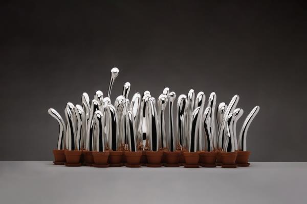 Vincent Breed Fecond