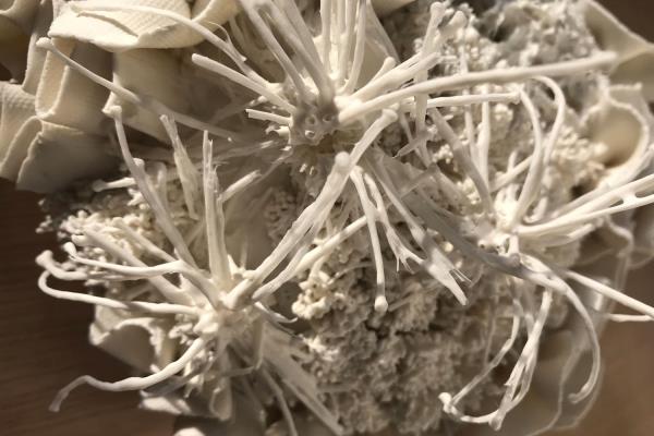 Anne Sophie Boulogne