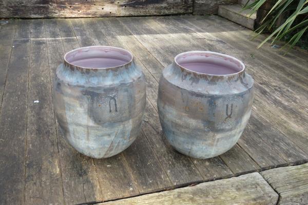 Bill Gowans & Anthea Stewart In the pink