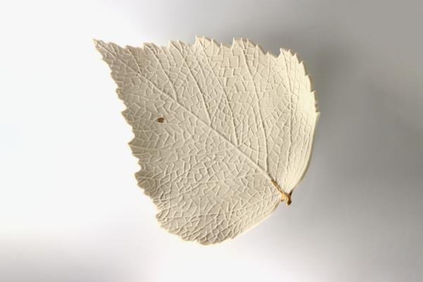 Laura Delgado Bido plate