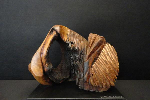 Ursula Nunez The World’s Origin