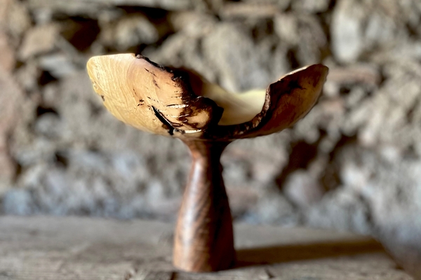 Metka Zver The Fig Flower