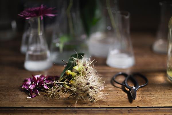 Laura Vaccari Italy Trieste