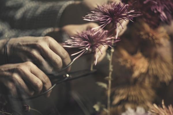 Laura Vaccari Italy Trieste