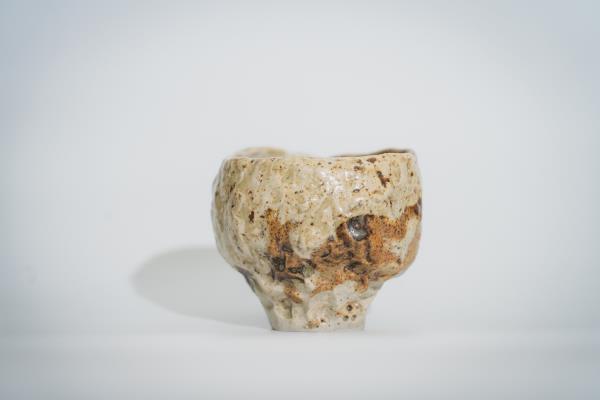 Alvin Ng o_pot chawan