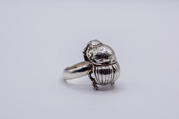 Joe Mutoko & Ngoni Chivasa Dung Beetle ring