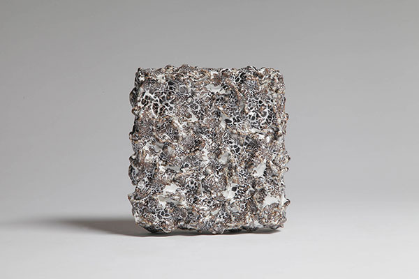 Karine Benvenuti Agitated snow and lichen