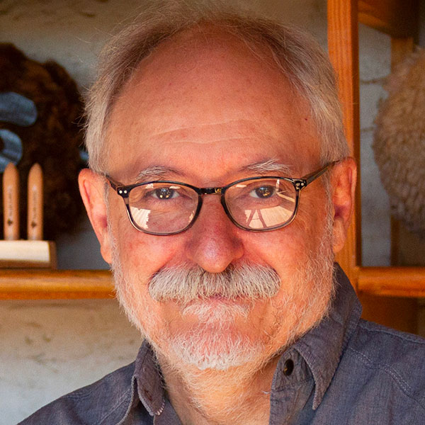 Carlos Clavelli Wood sculpting