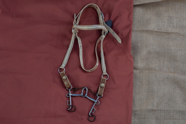 José Acuña Bridle with browband and bit