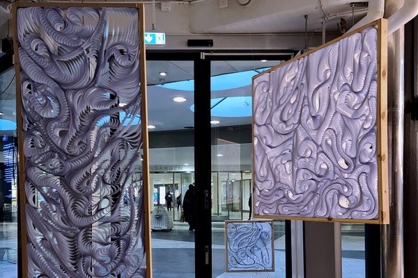 Annika Toijanen Soilu