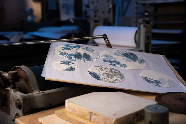 Daniela Iride Murgia