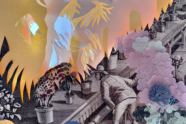 Daniela Iride Murgia Beyond the boundaries