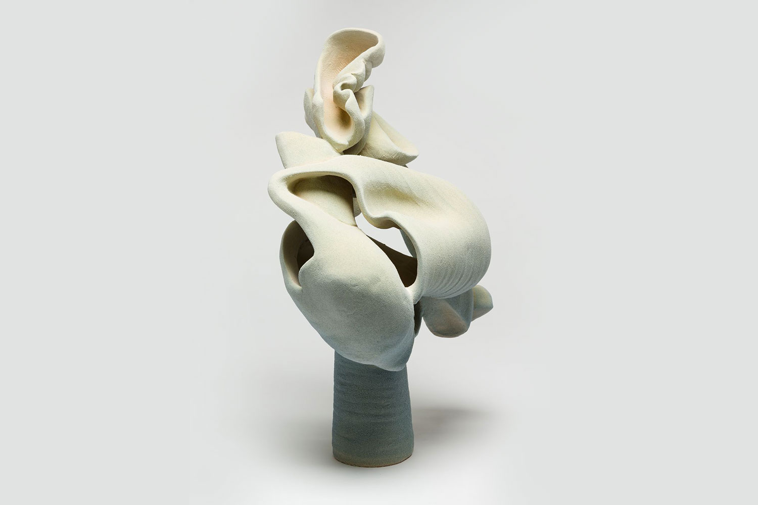 Anne Marie Laureys