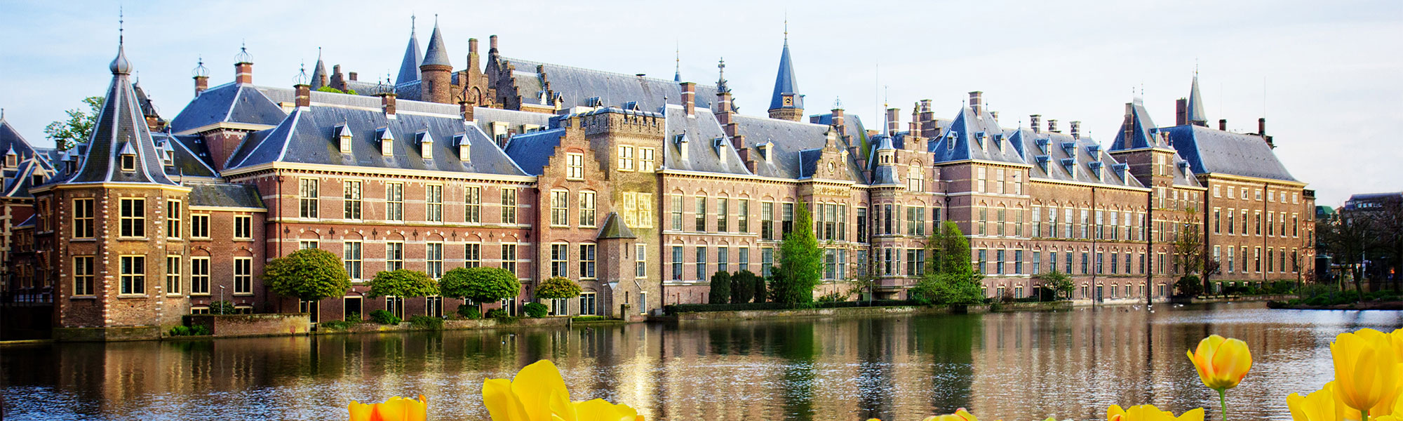 The Hague
