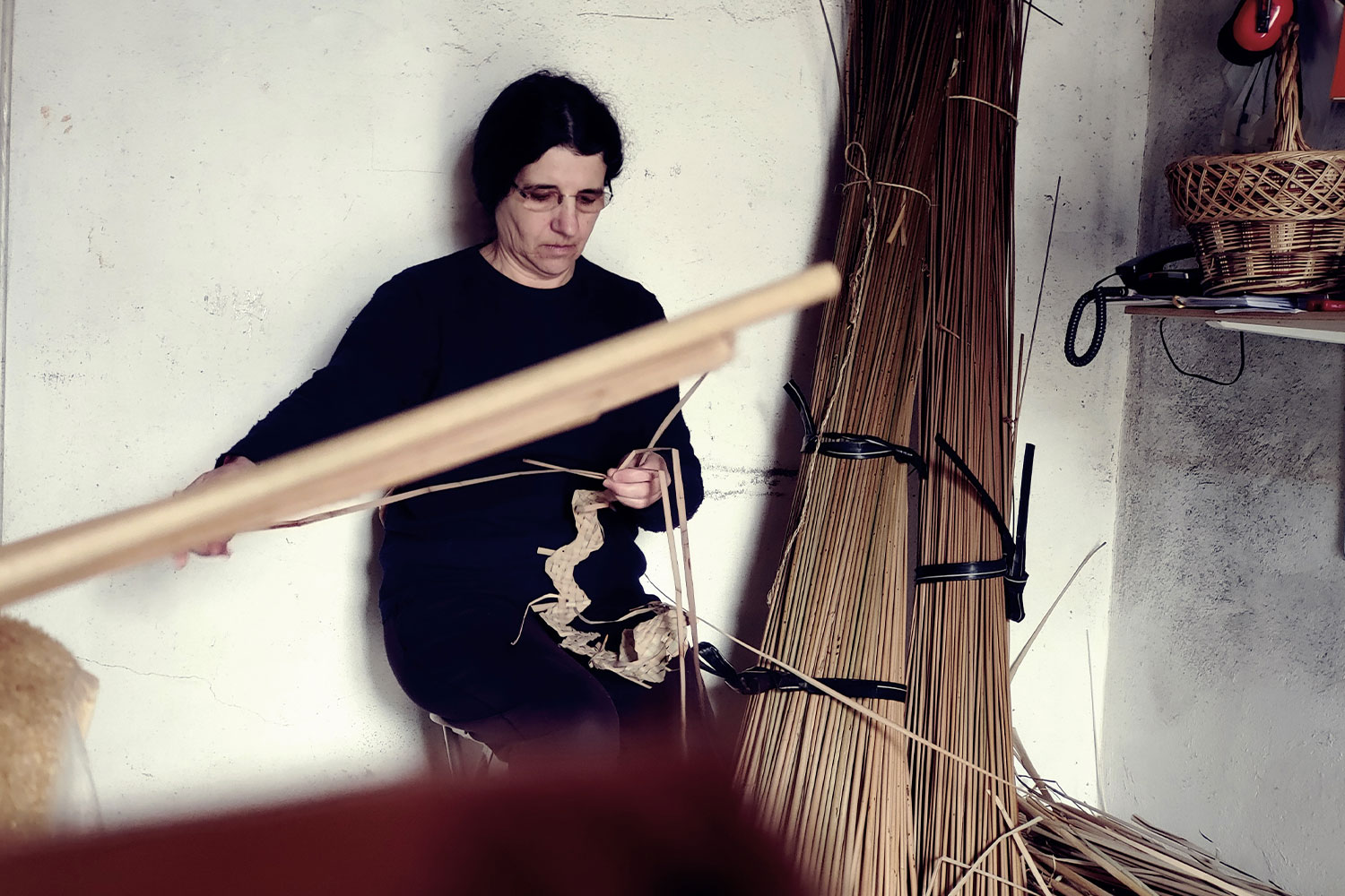 Cristina Fonseca