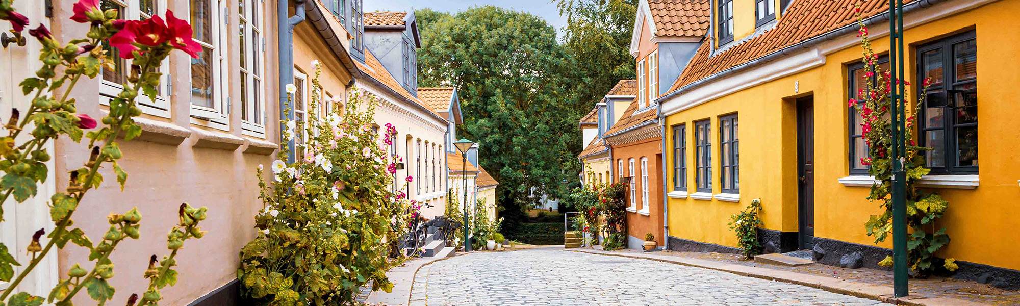  Odense