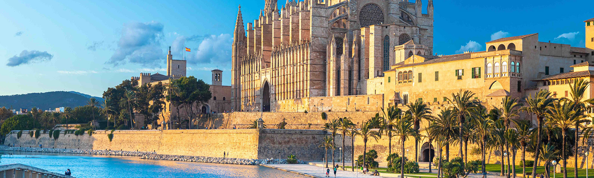  Palma